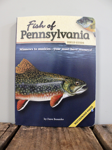 Fish of Pennsylvania
