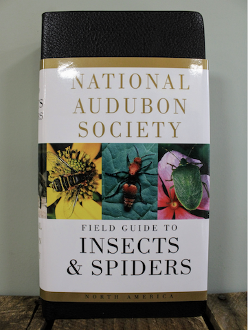 NAS Field Guide to Insects and Spiders