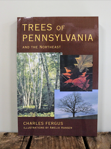 Trees of Pennsylvania and the Northeast